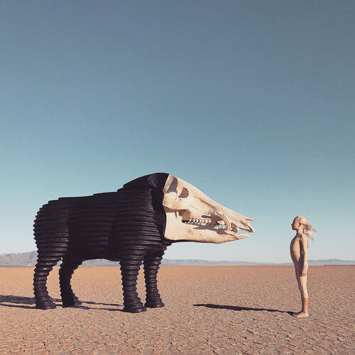 Picture of the Music Record - Dream Hunting In The Valley Of The In-between by Man Man