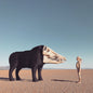 Picture of the Music Record - Dream Hunting In The Valley Of The In-between by Man Man