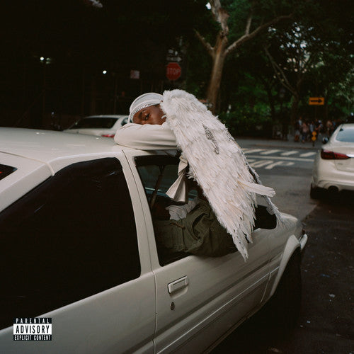 Picture of the Music Record - Negro Swan by Blood Orange