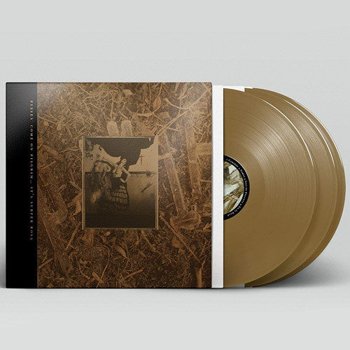 Picture of the Music Record - Come On Pilgrim It's Surfer Rosa by Pixies