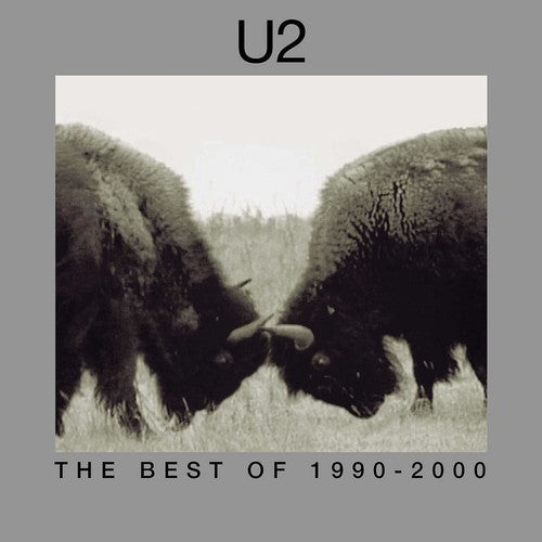 Picture of the Music Record - The Best Of 1990-2000 by U2