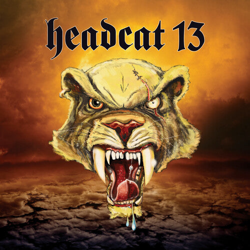 Picture of the Music Record - Headcat 13 by Headcat 13