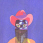 Picture of the Music Record - Show Pony by Orville Peck