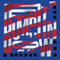 Picture of the Music Record - Dumb It Down by Eric Copeland
