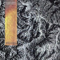 Picture of the Music Record - La Vem A Morte by Boogarins