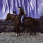 Picture of the Music Record - Horse by Holy Motors