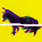 Picture of the Music Record - Horse Latitudes by The Promise Ring