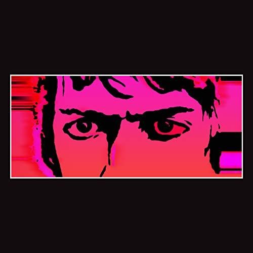 Picture of the Music Record - Till I Burn Up by Delicate Steve