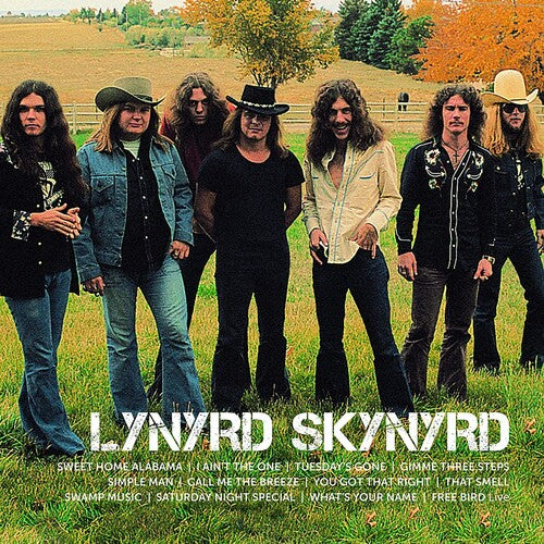 Picture of the Music Record - Icon by Lynyrd Skynyrd