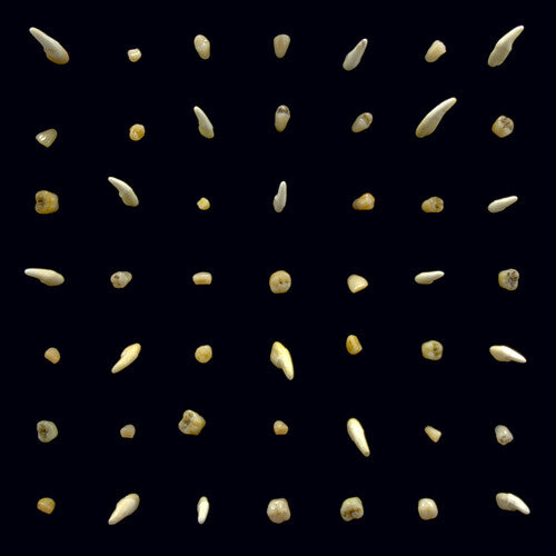 Picture of the Music Record - Visions Of Bodies Being Burned by Clipping