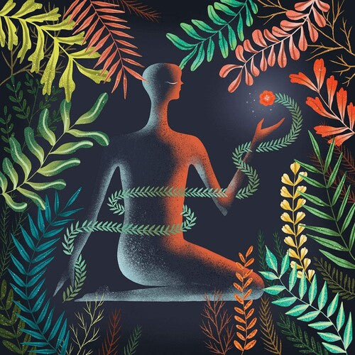 Picture of the Music Record - Don't Shy Away by Loma
