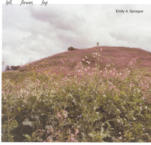 Image of the Music Record - Hill, Flower, Fog by Emily a Sprague