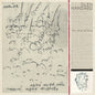 Picture of the Music Record - This Wild Willing by Glen Hansard