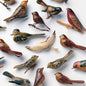Picture of the Music Record - Omoiyari by Kishi Bashi