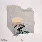 Picture of the Music Record - Safe & Sane by Kid Millions
