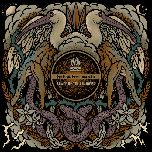 Picture of the Music Record - Shake Up The Shadows by Hot Water Music