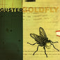Picture of the Music Record - Goldfly by Guster