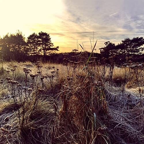 Picture of the Music Record - Leave Me Breathless by Ane Brun