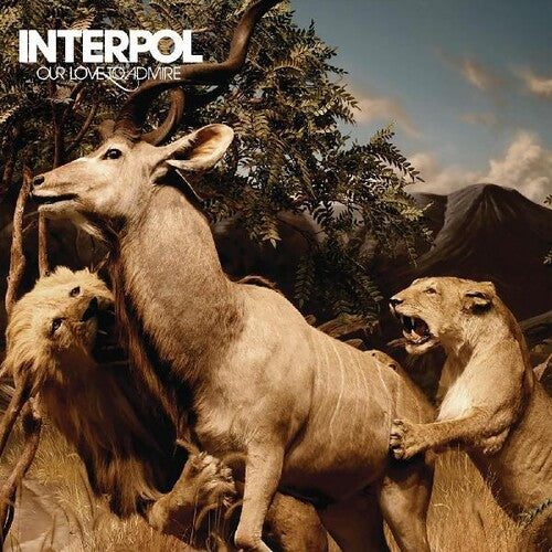 Picture of the Music Record - Our Love To Admire by Interpol