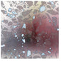 Picture of the Music Record - Expanding Program by Avulsions