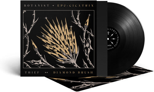 Picture of the Music Record - Cicatrix /  Diamond Brush by Botanist