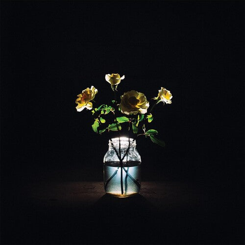 Picture of the Music Record - Renewal by Billy Strings