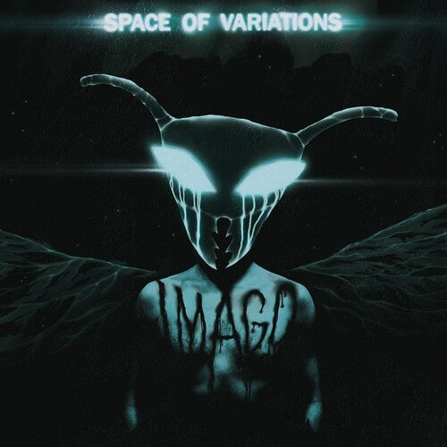 Picture of the Music Record - Imago by Space of Variations