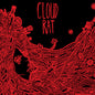 Picture of the Music Record - Cloud Rat Redux by Cloud Rat