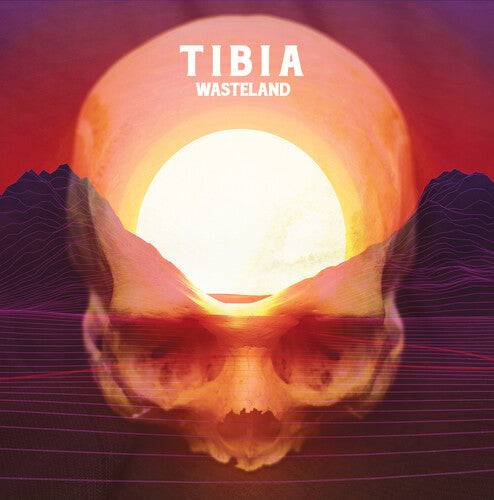 Picture of the Music Record - Wasteland by Tibia