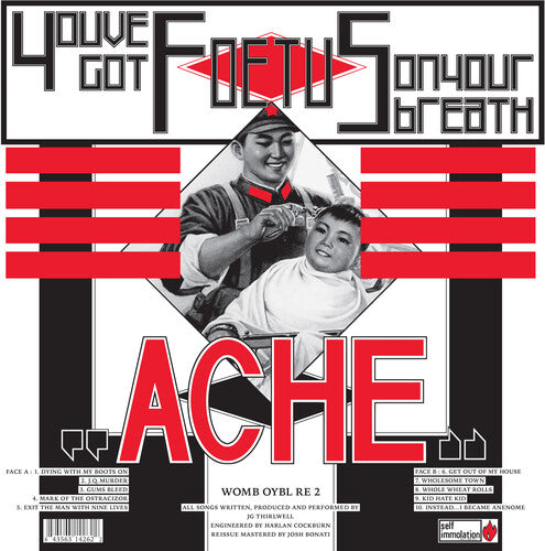 Picture of the Music Record - ACHE by Foetus