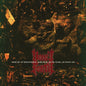 Image of the Music Record - Seething Malevolence - Black Vinyl [Import] by Vomit Forth