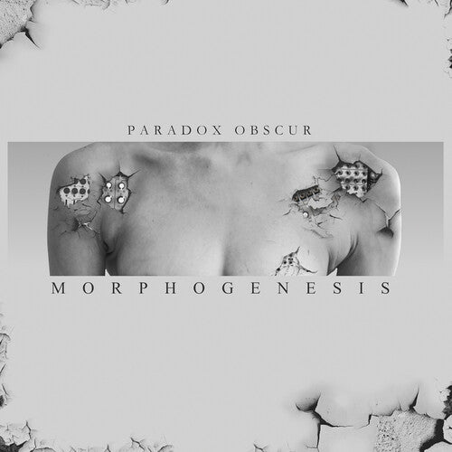 Image of the Music Record - Morphogenesis by Paradox Obscur