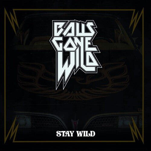 Picture of the Music Record - Stay Wild by Balls Gone Wild