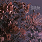 Picture of the Music Record - Internal Radio - Lavender by Eerie Wanda
