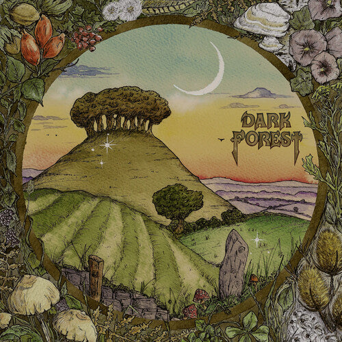 Image of the Music Record - Ridge & Furrow by Dark Forest