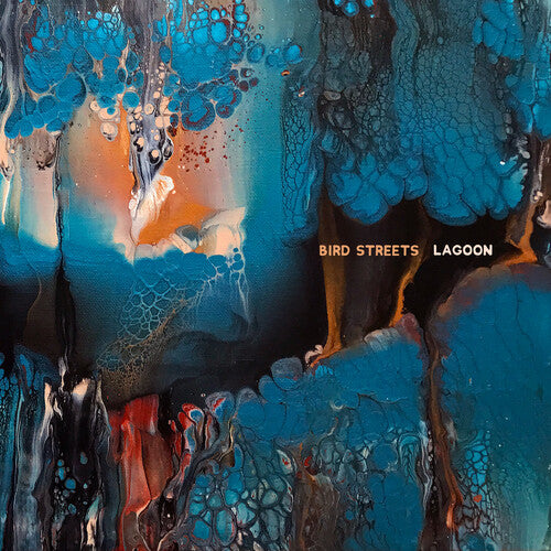 Picture of the Music Record - Lagoon by Bird Streets