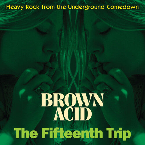 Image of the Music Record - Brown Acid - The Fifteenth Trip (Various Artists) by Various Artists