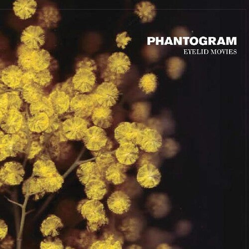Picture of the Music Record - Eyelid Movies by Phantogram