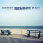 Picture of the Music Record - Follow Your Bliss [Import] by Senses Fail