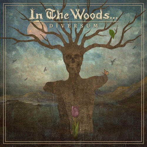 Picture of the Music Record - DIVERSUM by In the Woods...