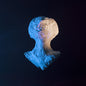 Picture of the Music Record - Auslander by Miet
