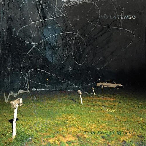 Picture of the Music Record - This Stupid World by Yo La Tengo