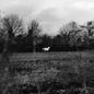 Picture of the Music Record - When You Run Away, Do You Close Your Eyes [Explicit Content] by Flatsound