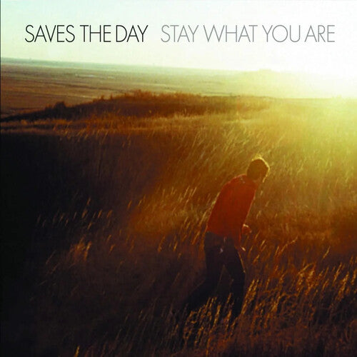 Picture of the Music Record - Stay What You Are - 10-Inch Vinyl [Import] by Saves the Day