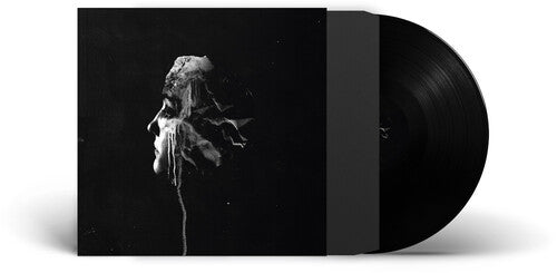 Picture of the Music Record - The Light by FVNERALS