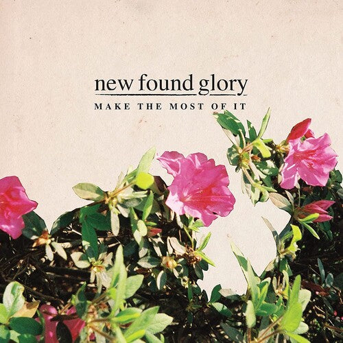 Picture of the Music Record - Make The Most Of It by New Found Glory