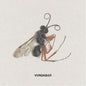 Picture of the Music Record - Good Old by Vundabar