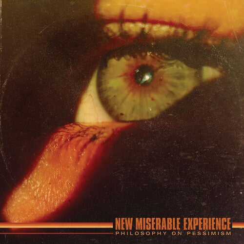 Picture of the Music Record - PHILOSOPHY ON PESSIMISM by New Miserable Experience