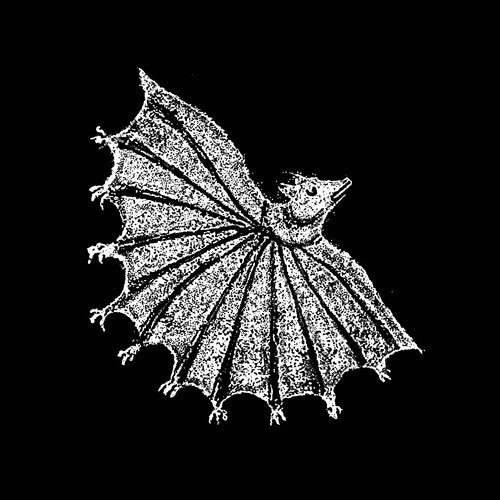 Picture of the Music Record - Ignore Grief - Silver Ghost [Explicit Content] by Xiu Xiu