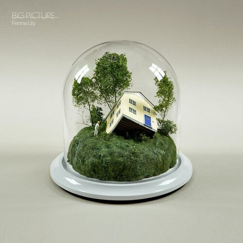 Picture of the Music Record - Big Picture by Fenne Lily